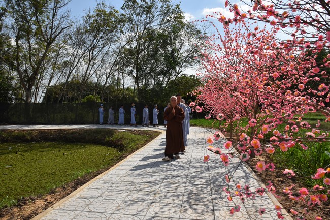 Offerings to Tay Phap pagoda and giving gifts in Tay Ninh