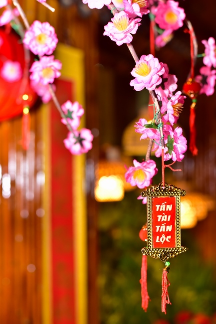 Toàn cảnh Chùa Hoằng Pháp lung linh trong những đêm cận Tết Quý Mão