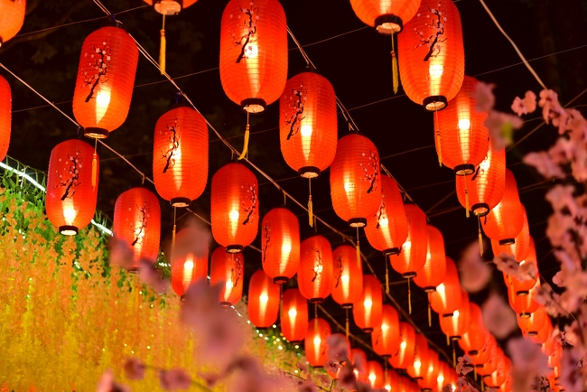 Toàn cảnh Chùa Hoằng Pháp lung linh trong những đêm cận Tết Quý Mão