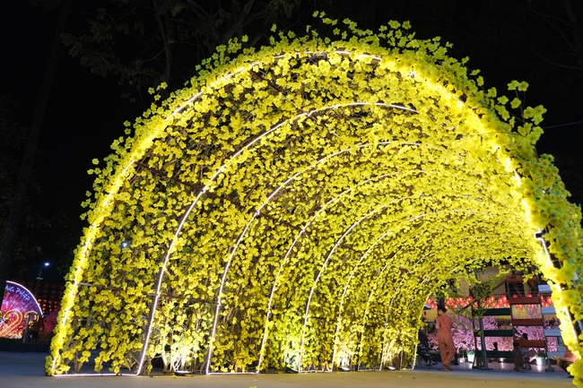 Toàn cảnh Chùa Hoằng Pháp lung linh trong những đêm cận Tết Quý Mão