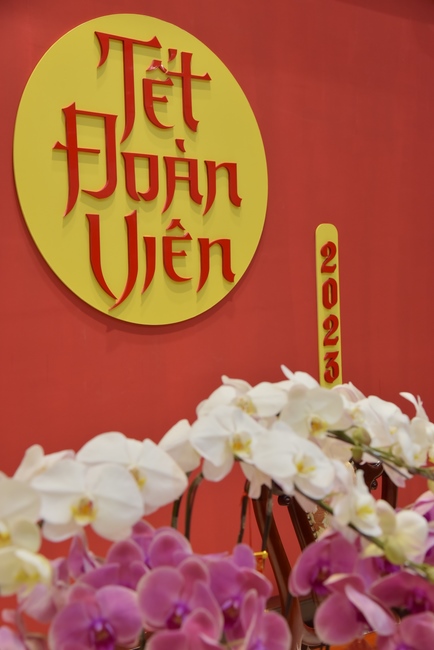 Toàn cảnh Chùa Hoằng Pháp lung linh trong những đêm cận Tết Quý Mão