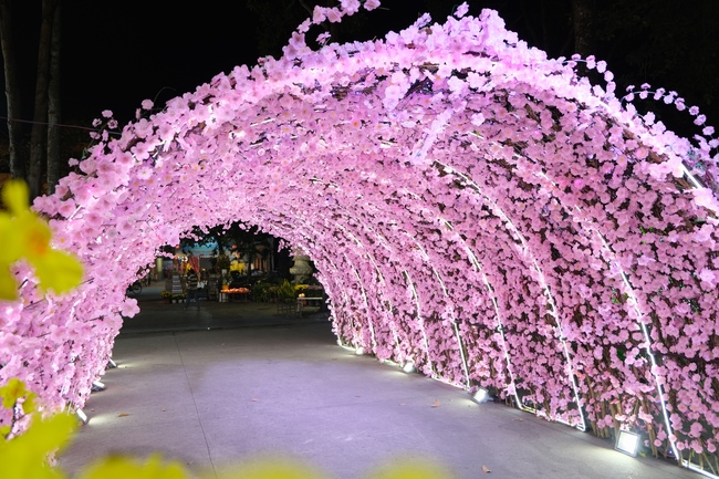 Toàn cảnh Chùa Hoằng Pháp lung linh trong những đêm cận Tết Quý Mão