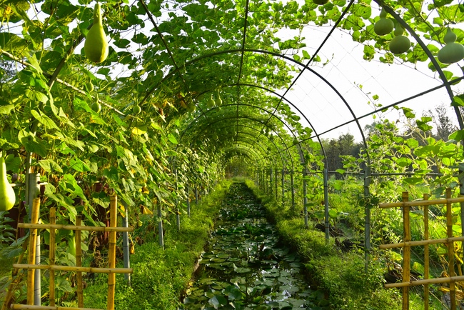 Thăm Thủy Hoa Viên