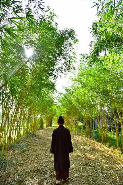 Thăm Thủy Hoa Viên