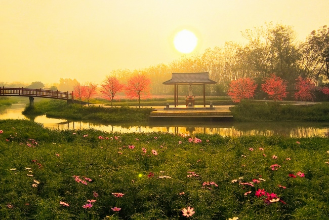 Thăm Thủy Hoa Viên