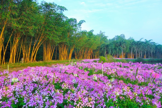 Thăm Thủy Hoa Viên