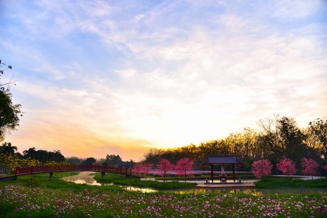 Thăm Thủy Hoa Viên