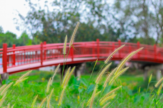 Thăm Thủy Hoa Viên