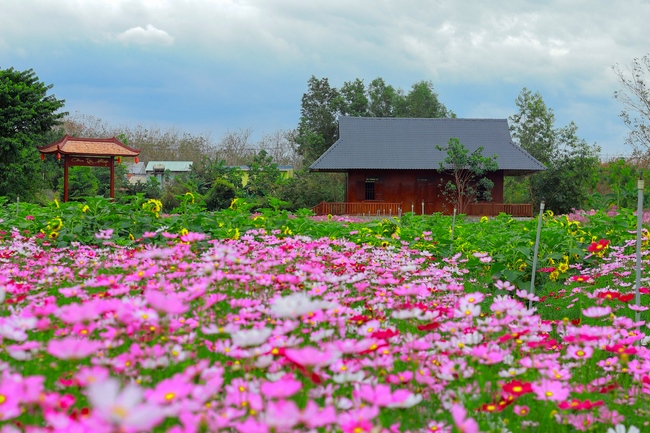 Thăm Thủy Hoa Viên