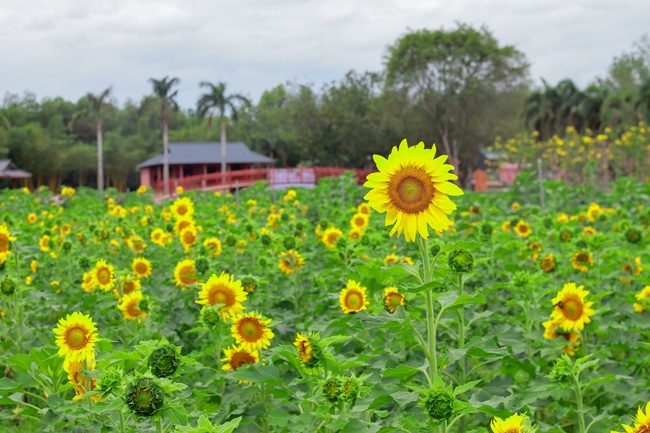 Thăm Thủy Hoa Viên