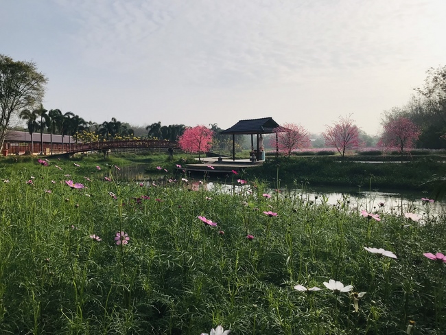 Thăm Thủy Hoa Viên