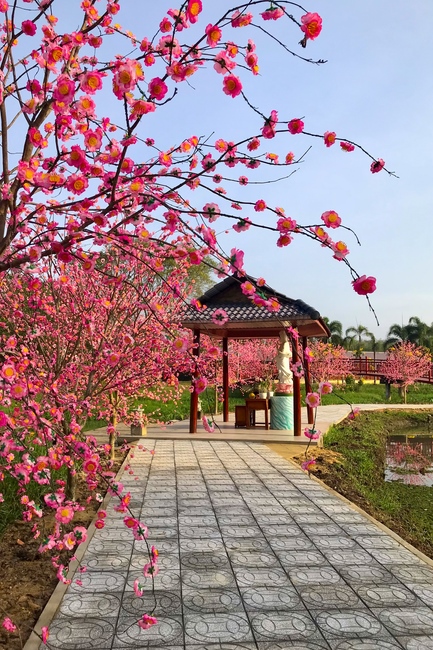 Thăm Thủy Hoa Viên