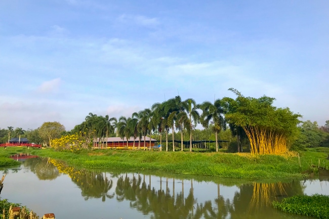 Thăm Thủy Hoa Viên