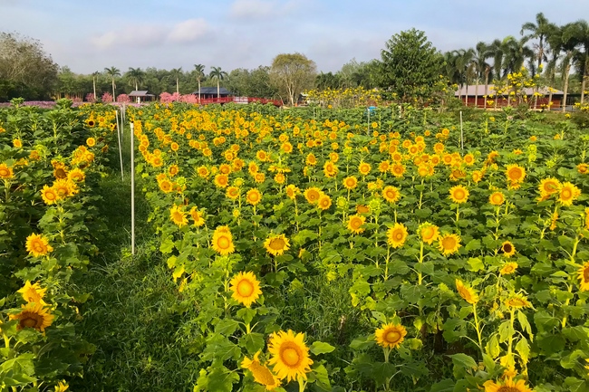 Thăm Thủy Hoa Viên