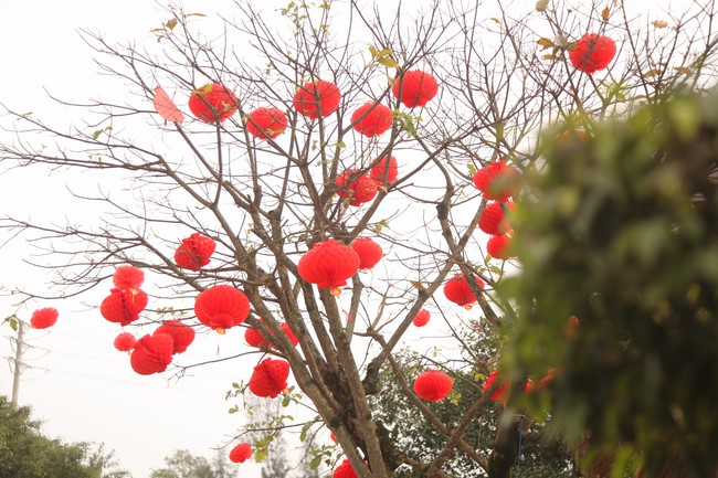 Chùa Giai Lam - Hà Tĩnh: Dịu dàng sắc xuân