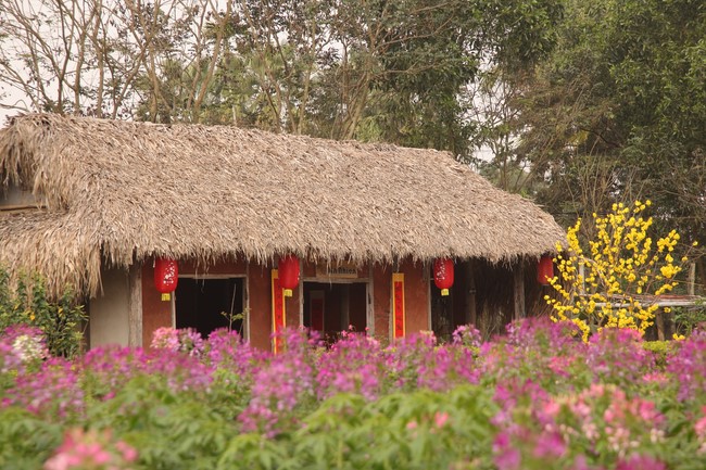 Chùa Giai Lam - Hà Tĩnh: Dịu dàng sắc xuân