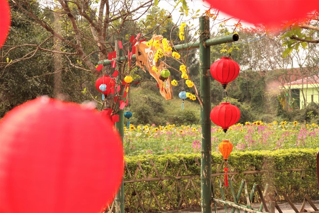 Chùa Giai Lam - Hà Tĩnh: Dịu dàng sắc xuân