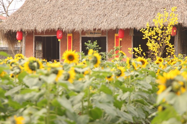 Chùa Giai Lam - Hà Tĩnh: Dịu dàng sắc xuân