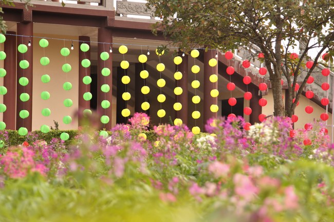 Chùa Giai Lam - Hà Tĩnh: Dịu dàng sắc xuân