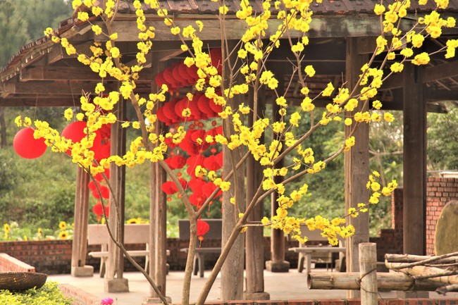 Chùa Giai Lam - Hà Tĩnh: Dịu dàng sắc xuân