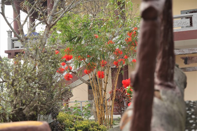 Chùa Giai Lam - Hà Tĩnh: Dịu dàng sắc xuân