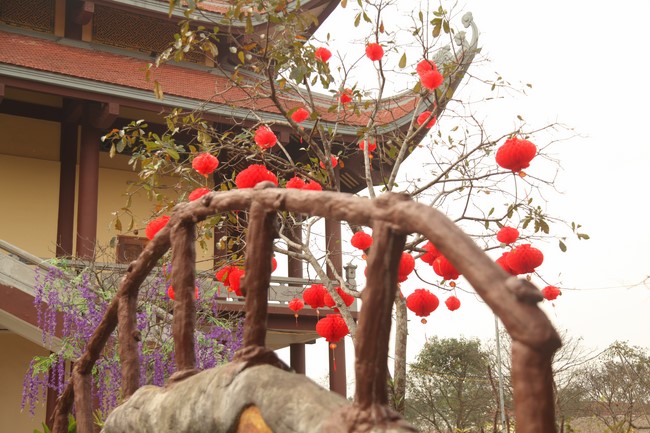 Chùa Giai Lam - Hà Tĩnh: Dịu dàng sắc xuân