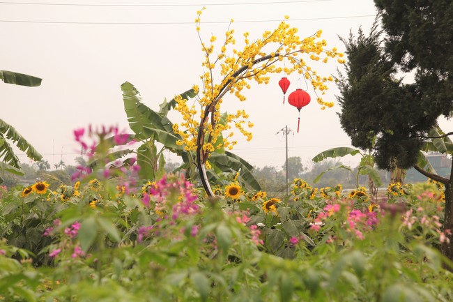 Chùa Giai Lam - Hà Tĩnh: Dịu dàng sắc xuân