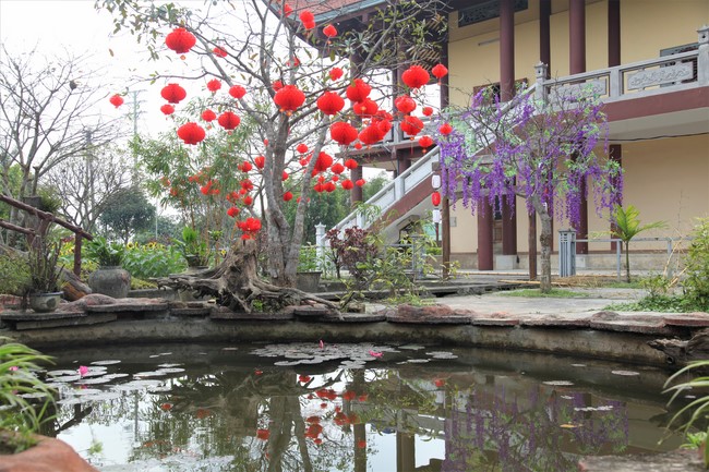 Chùa Giai Lam - Hà Tĩnh: Dịu dàng sắc xuân