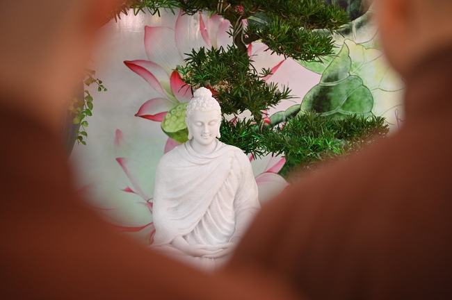 Welcome the Spring beside the Master