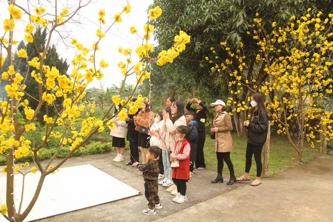 Welcoming New Year's Eve and the Lunar Year‘s First day at Giai Lam Pagoda - Ha Tinh