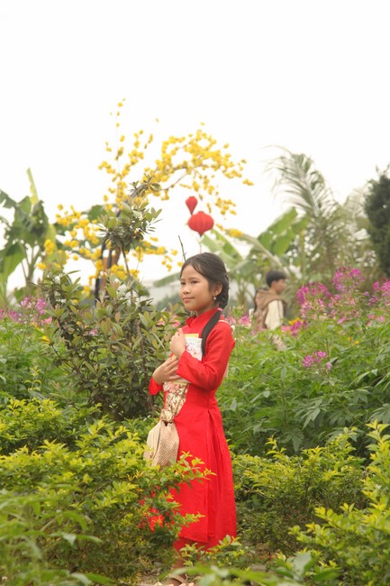 Welcoming New Year's Eve and the Lunar Year‘s First day at Giai Lam Pagoda - Ha Tinh