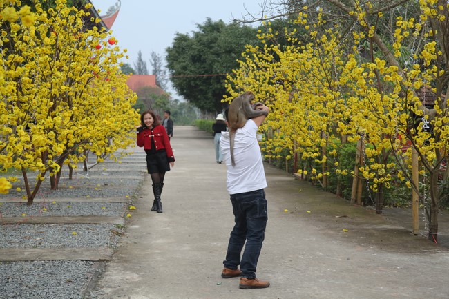 Welcoming New Year's Eve and the Lunar Year‘s First day at Giai Lam Pagoda - Ha Tinh