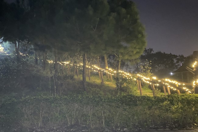 Welcoming New Year's Eve and the Lunar Year‘s First day at Giai Lam Pagoda - Ha Tinh