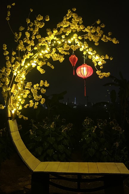 Welcoming New Year's Eve and the Lunar Year‘s First day at Giai Lam Pagoda - Ha Tinh