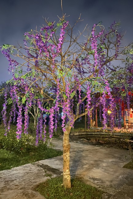 Welcoming New Year's Eve and the Lunar Year‘s First day at Giai Lam Pagoda - Ha Tinh