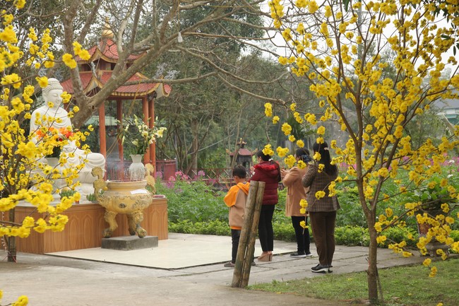 Chùa Giai Lam – Hà Tĩnh: Chùm ảnh Mồng hai tết.