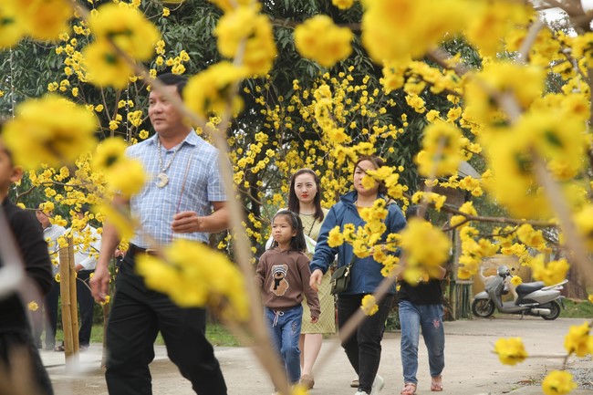 Chùa Giai Lam – Hà Tĩnh: Chùm ảnh Mồng hai tết.