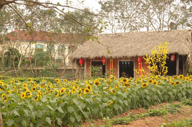 Chùa Giai Lam – Hà Tĩnh: Chùm ảnh Mồng hai tết.