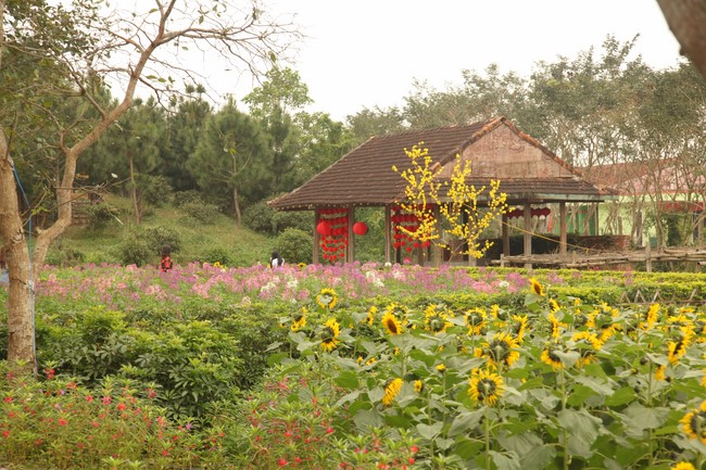 Chùa Giai Lam – Hà Tĩnh: Chùm ảnh Mồng hai tết.