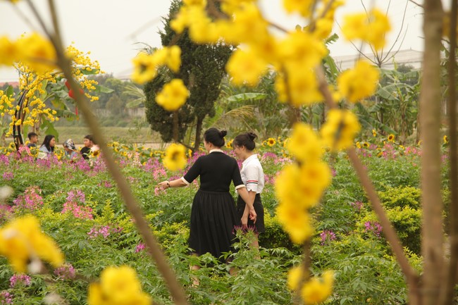 Chùa Giai Lam – Hà Tĩnh: Chùm ảnh Mồng hai tết.