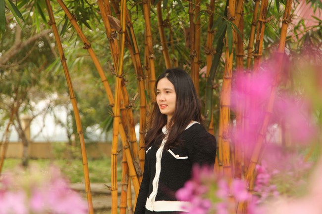 Chùa Giai Lam – Hà Tĩnh: Chùm ảnh Mồng hai tết.