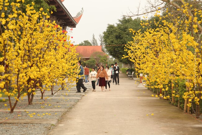 Chùa Giai Lam – Hà Tĩnh: Chùm ảnh Mồng hai tết.