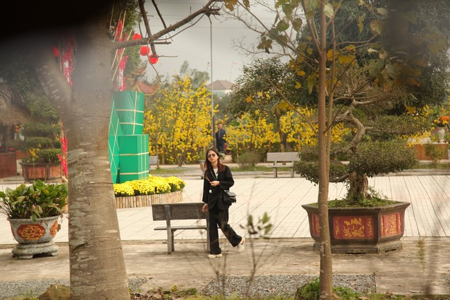 Chùa Giai Lam – Hà Tĩnh: Chùm ảnh Mồng hai tết.