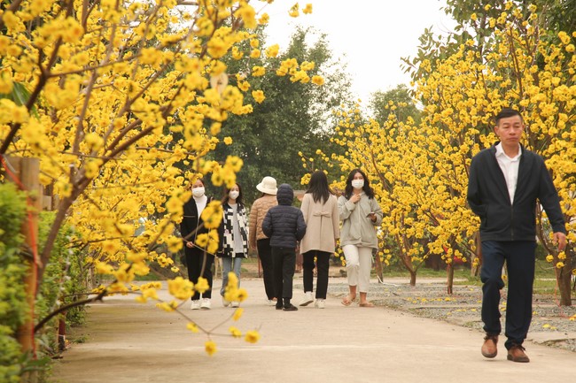 Chùa Giai Lam – Hà Tĩnh: Chùm ảnh Mồng hai tết.