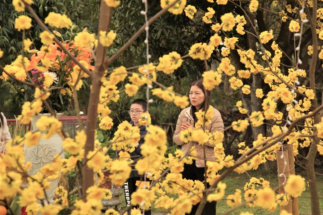 Chùa Giai Lam – Hà Tĩnh: Chùm ảnh Mồng hai tết.