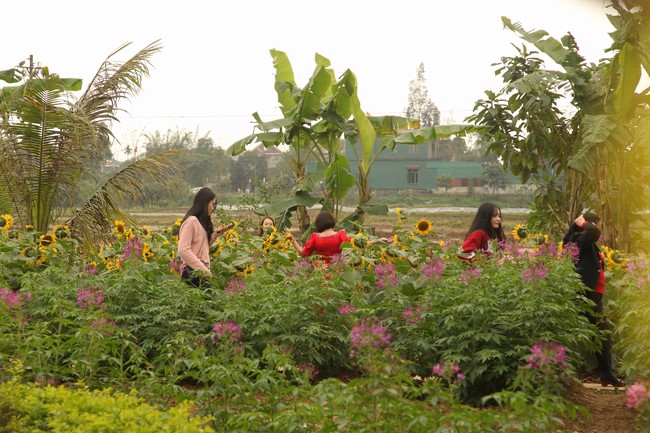 Chùa Giai Lam – Hà Tĩnh: Chùm ảnh Mồng hai tết.