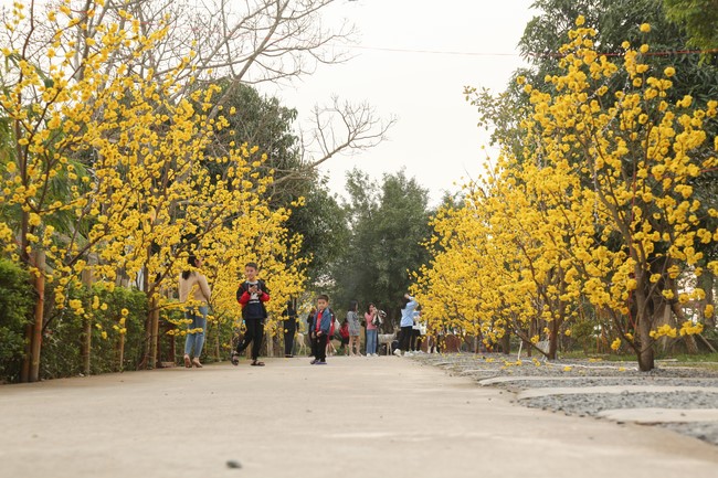 Chùa Giai Lam – Hà Tĩnh: Chùm ảnh Mồng hai tết.