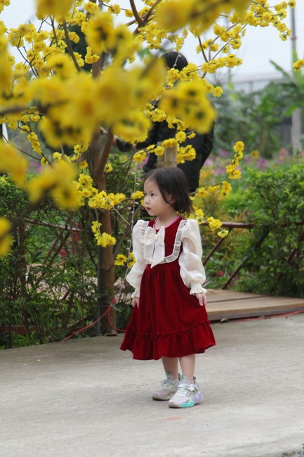 Chùa Giai Lam – Hà Tĩnh: Chùm ảnh Mồng hai tết.