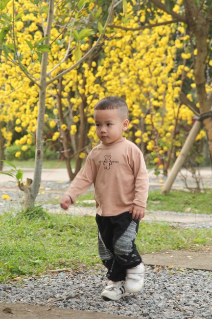 Chùa Giai Lam – Hà Tĩnh: Chùm ảnh Mồng hai tết.