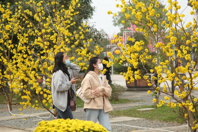 Chùa Giai Lam – Hà Tĩnh: Chùm ảnh Mồng hai tết.